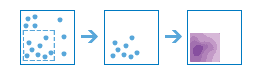 Calculate Density diagram